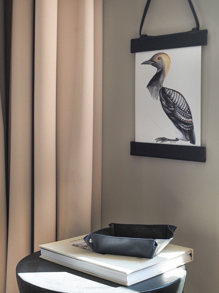 Постер Чернозобая гагара - Image 2