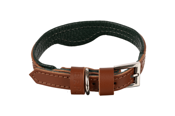 Кожаный ошейник для кошек и маленьких собак Green-Brown